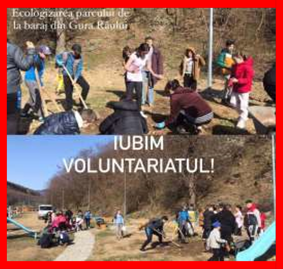 Ecologizarea și activități de voluntariat